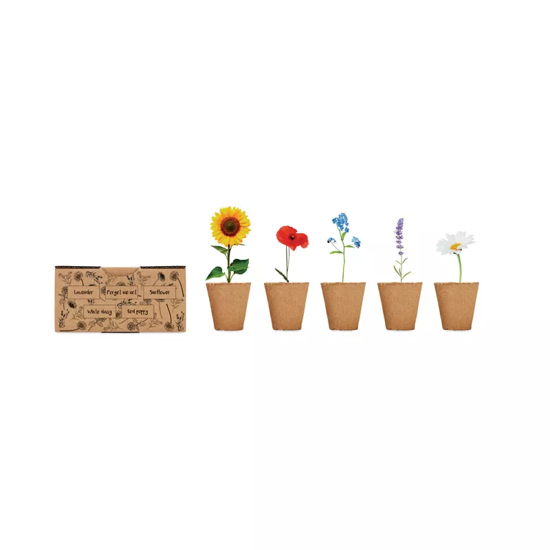 Zestaw do uprawy kwiatów z nasionami FLOWERS - Bezowy (MO6500-13)