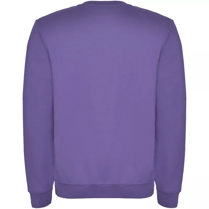 Bluza Clasica - Irlandzki fiolet (R1070-IRISPURP)