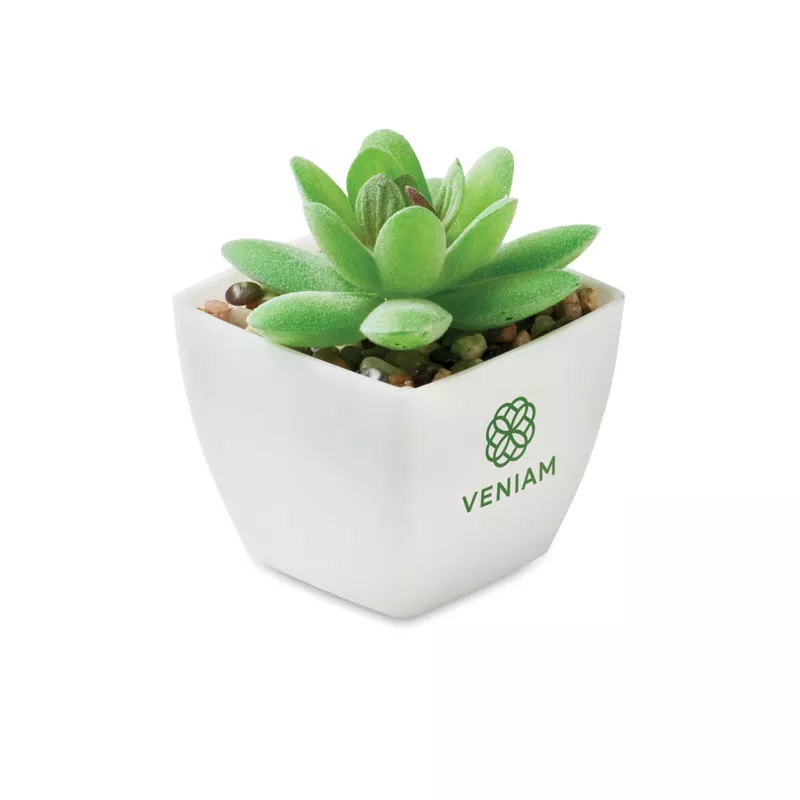 Sztuczna roślina mini graptopetalum z PP ARTIGRAP - Bialy (MO2854-06)