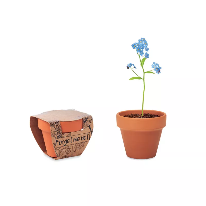 Doniczka z nasionami niezapominajki FORGET ME NOT - Drewna (MO6146-40)