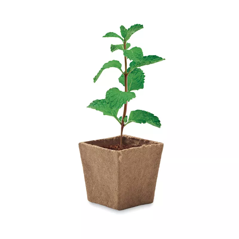 Zestaw do uprawy mięty w doniczce torfowej MINT KIT - Bezowy (MO2410-13)