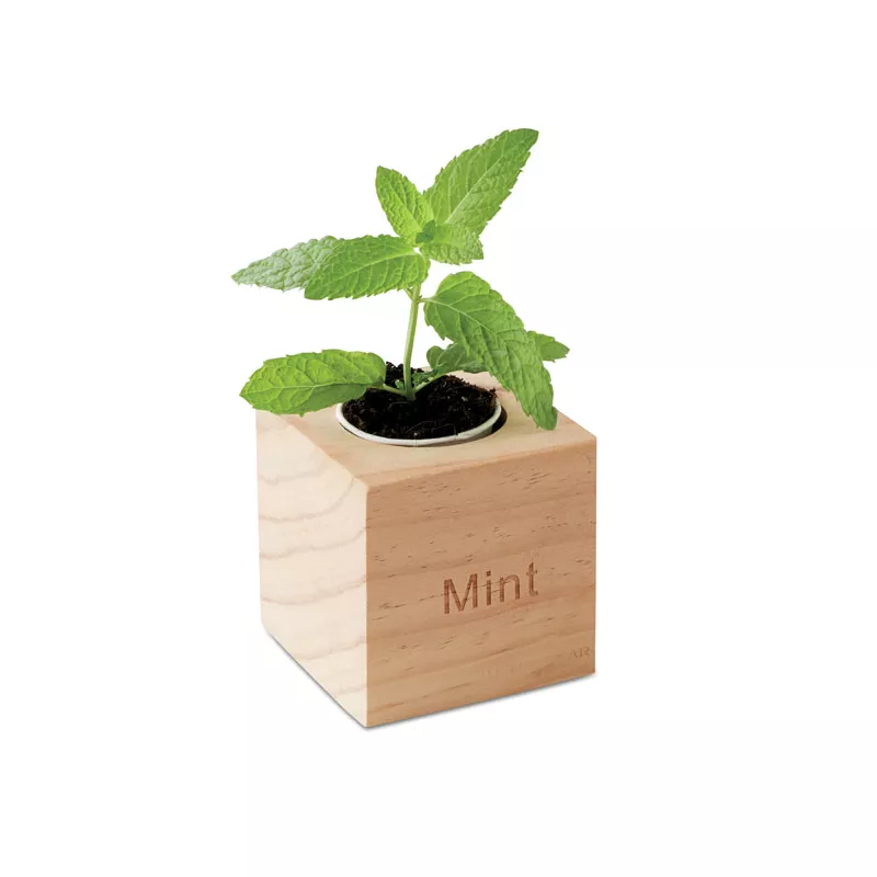 Zestaw do uprawy mięty w drewnianym pojemniku MENTA - Drewna (MO9337-40)