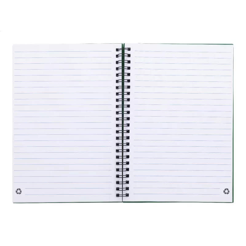 Strobus A5 notes - zielony (AP800194-07)
