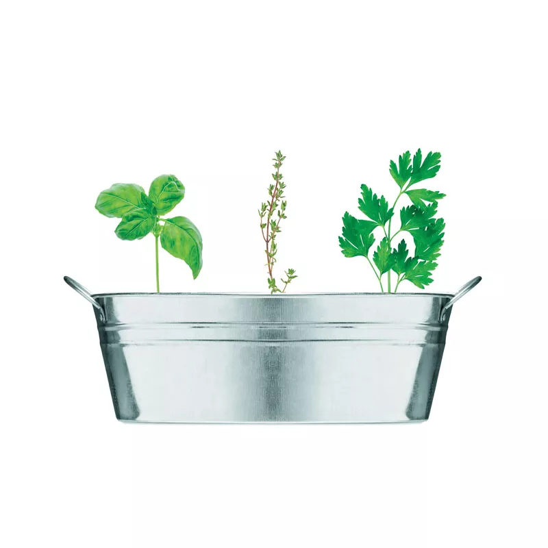 Doniczka cynkowa z nasionami ziół MIX SEEDS - Srebrny Mat (MO6497-16)