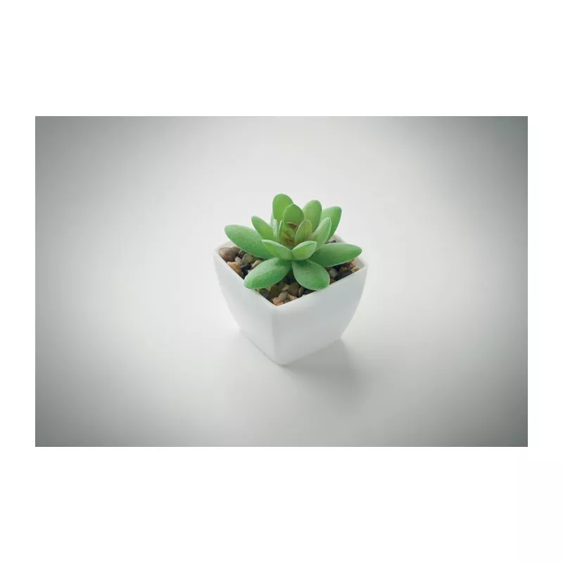 Sztuczna roślina mini graptopetalum z PP ARTIGRAP - Bialy (MO2854-06)