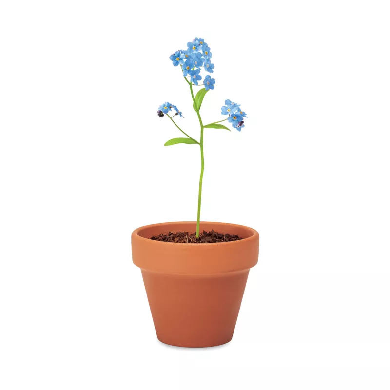 Doniczka z nasionami niezapominajki FORGET ME NOT - Drewna (MO6146-40)
