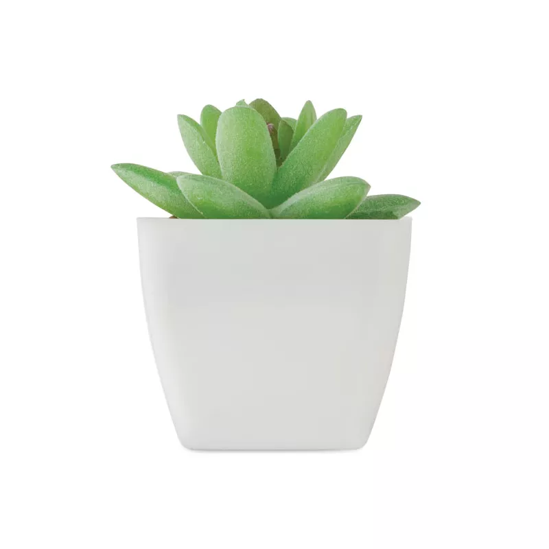 Sztuczna roślina mini graptopetalum z PP ARTIGRAP - Bialy (MO2854-06)