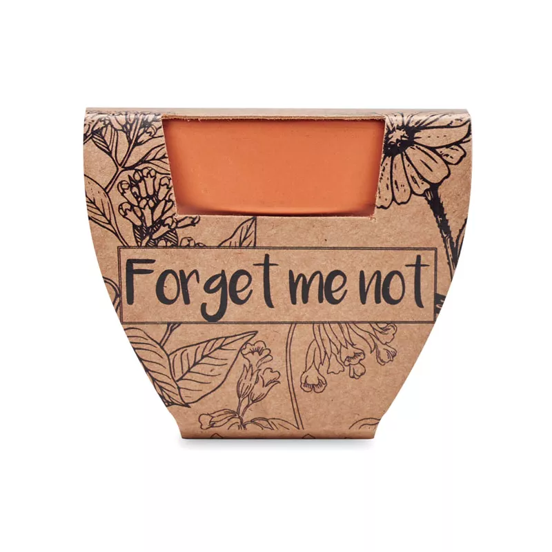 Doniczka z nasionami niezapominajki FORGET ME NOT - Drewna (MO6146-40)