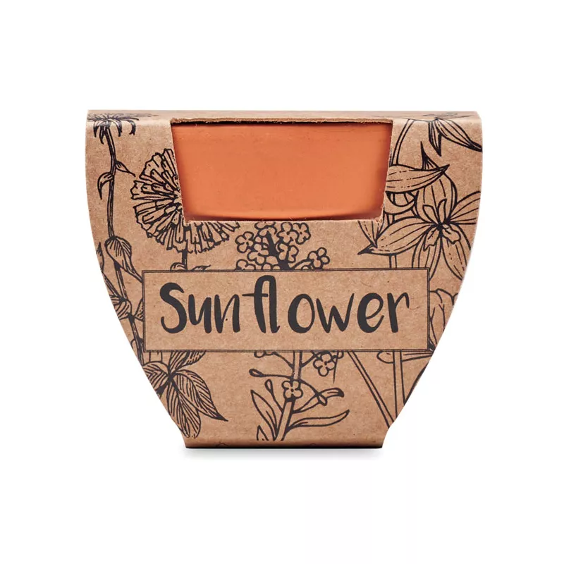 Doniczka z terakoty z nasionami słonecznika SUNFLOWER - Drewna (MO6147-40)