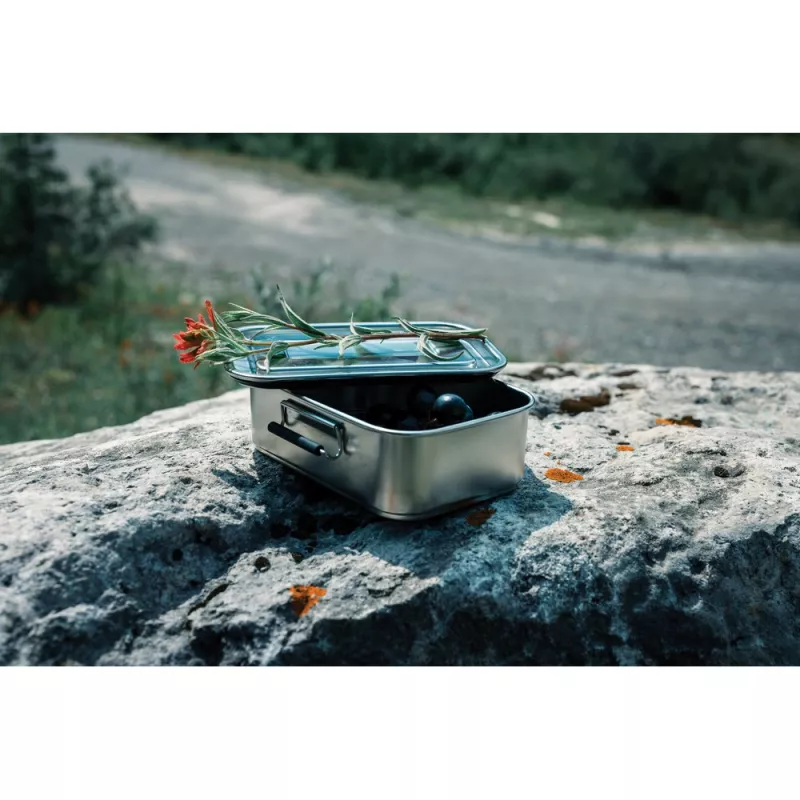 Pudełko śniadaniowe 1 L - silver (P269.082)