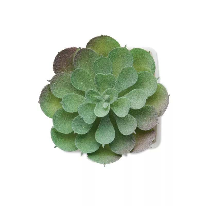 Sztuczna roślina mini eszeweria z PP ARTIECHE - Bialy (MO2853-06)