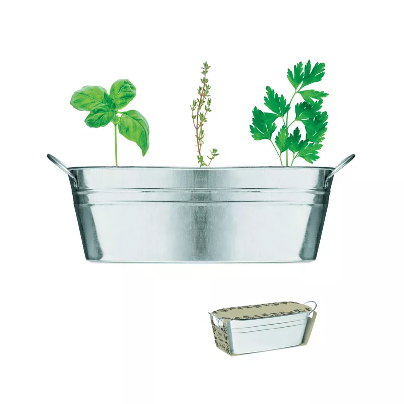 Doniczka cynkowa z nasionami ziół MIX SEEDS - Srebrny Mat (MO6497-16)