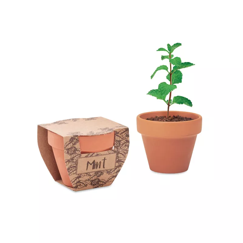 Doniczka z terakoty z nasionami mięty MINT POT - Drewna (MO2218-40)