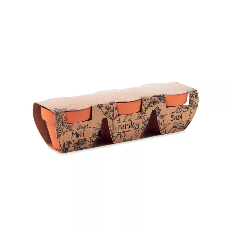 Zestaw 3 doniczek z nasionami ziół FLOWERPOT - Drewna (MO6145-40)