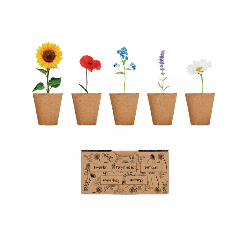 Zestaw do uprawy kwiatów z nasionami FLOWERS - Bezowy (MO6500-13)