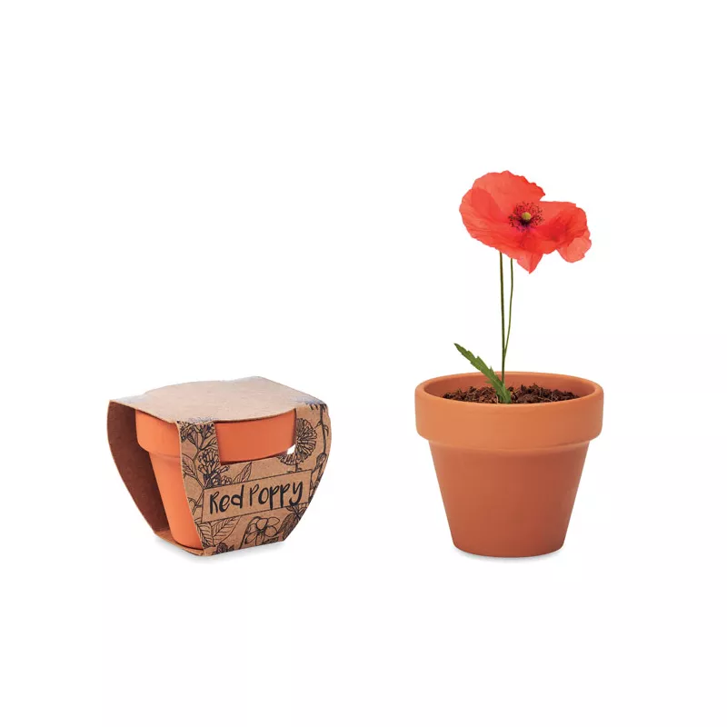 Doniczka z terakoty z nasionami maku RED POPPY - Drewna (MO6148-40)