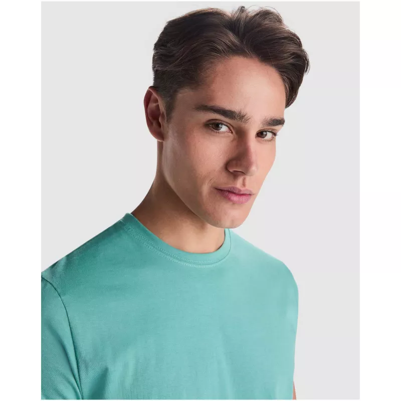 Stafford koszulka męska z krótkim rękawem - Laurel green (R6681-LAUGREEN)