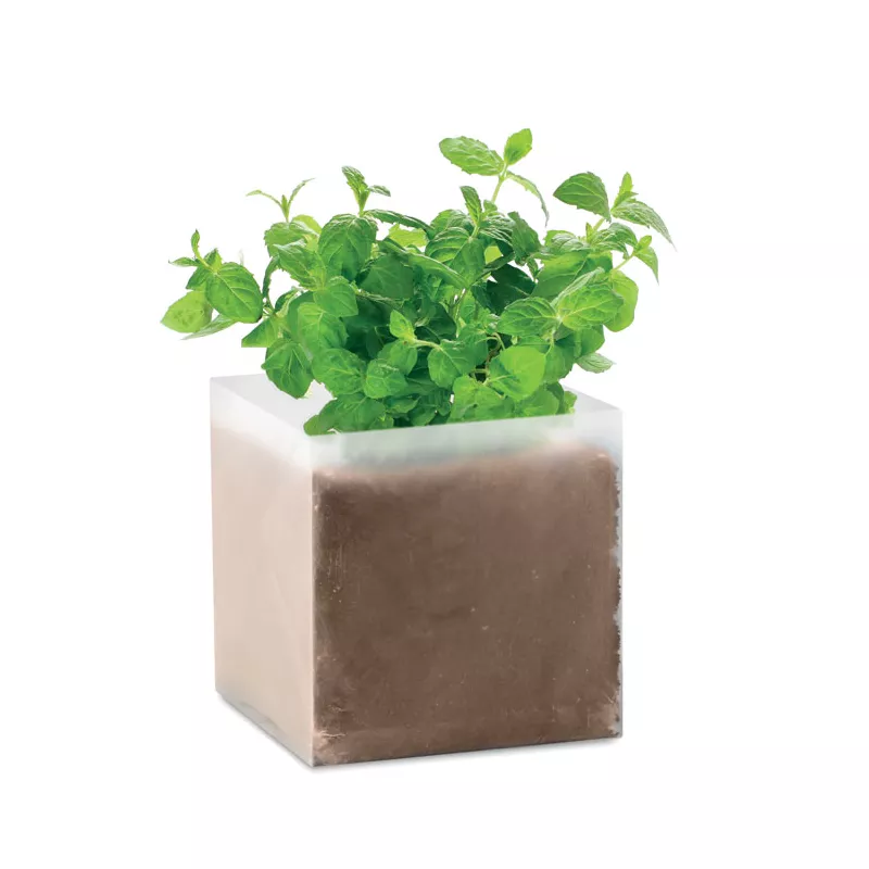 Zestaw do uprawy mięty w torebce MINT - Bezowy (MO9546-13)