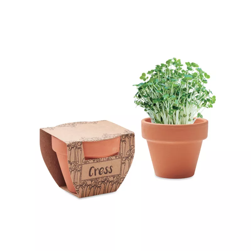 Doniczka z terakoty z nasionami rzeżuchy CRESS POT - Drewna (MO2219-40)