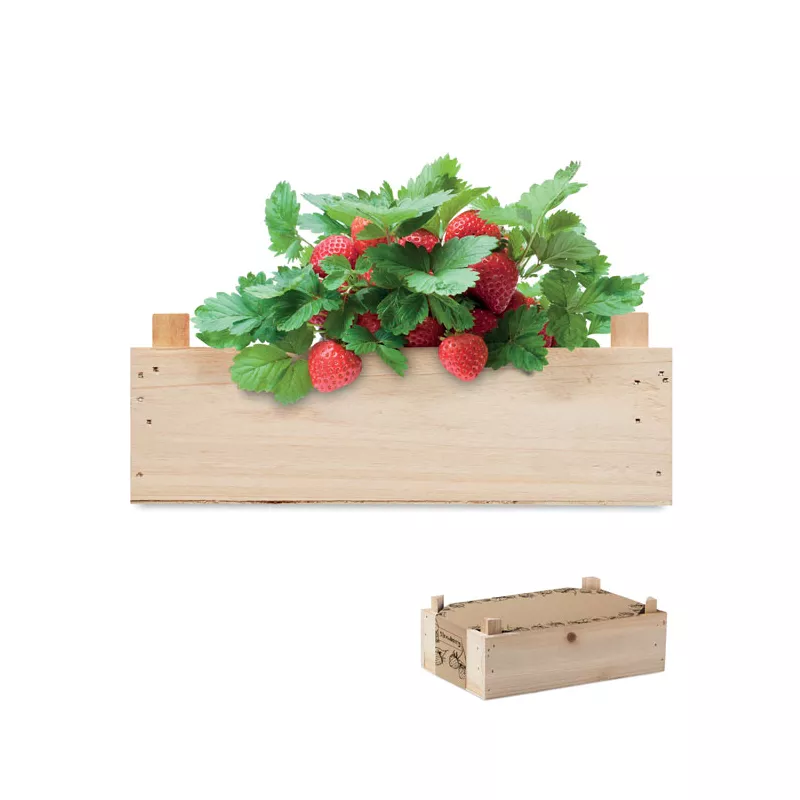 Zestaw do uprawy truskawek w skrzynce STRAWBERRY - Drewna (MO6506-40)