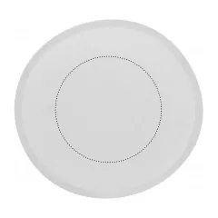FRISBEE