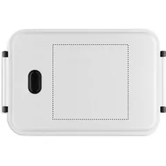 LID SCREEN