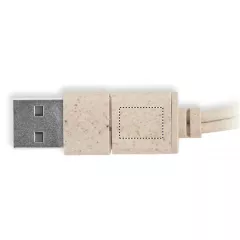 PLUG