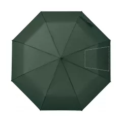 SEGMENT 4