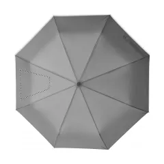 SEGMENT 2