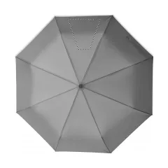 SEGMENT 3