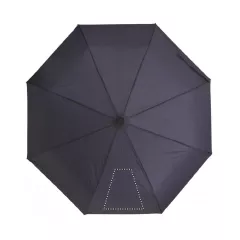 SEG 1