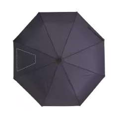 SEG 2