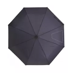 SEG 4