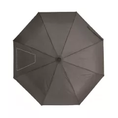SEG 2