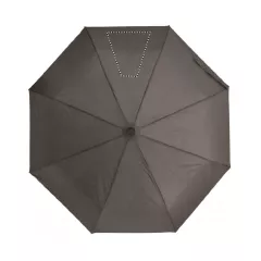 SEG 3