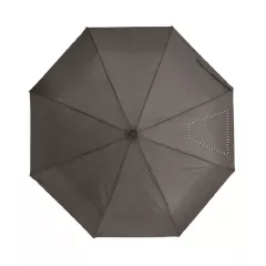 SEG 4