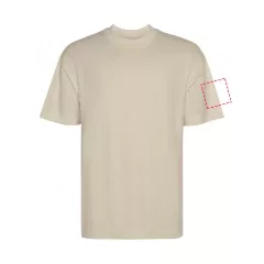 lewy biceps
