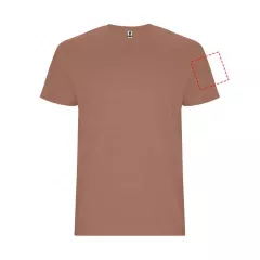 lewy biceps