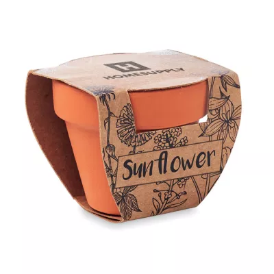 Doniczka z terakoty z nasionami słonecznika SUNFLOWER - Drewna (MO6147-40)