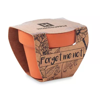 Doniczka z nasionami niezapominajki FORGET ME NOT - Drewna (MO6146-40)