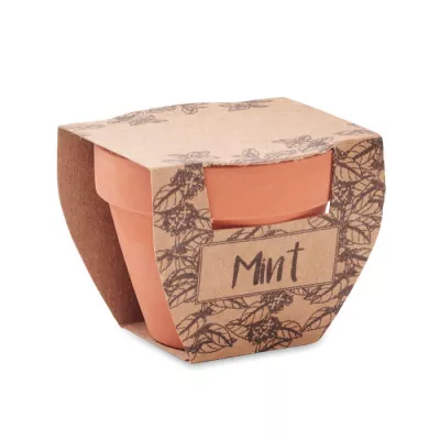 Doniczka z terakoty z nasionami mięty MINT POT - Drewna (MO2218-40)