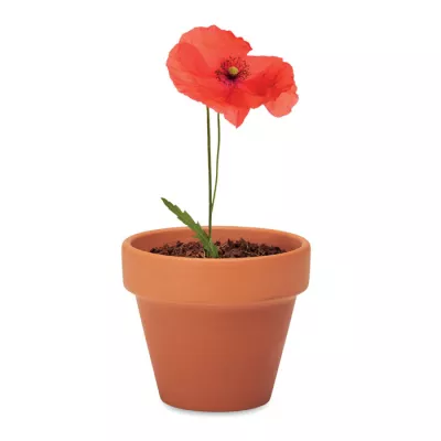 Doniczka z terakoty z nasionami maku RED POPPY - Drewna (MO6148-40)