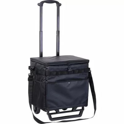 Torba termiczna trolley DETLEF - czarny (6566003)