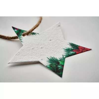 Gwiazdka papierowa z nasionami kwiatów STARSEED - Bialy (CX1516-06)