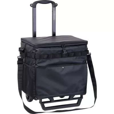Torba termiczna trolley DETLEF - czarny (6566003)