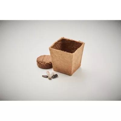 Zestaw do uprawy słonecznika w doniczce SUNFLOWER KIT - Bezowy (MO2411-13)
