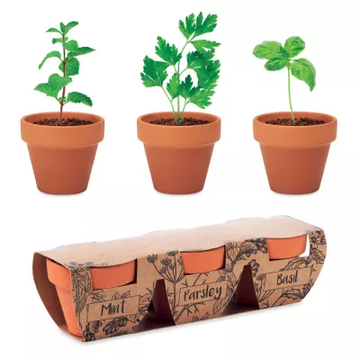 Zestaw 3 doniczek z nasionami ziół FLOWERPOT - Drewna (MO6145-40)