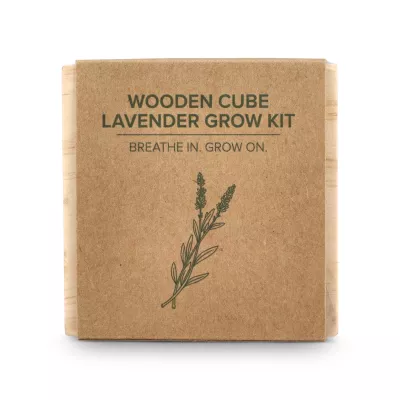 Zestaw drewnianych doniczek FSC – lawenda - naturalny-t (LT94575-N0094)