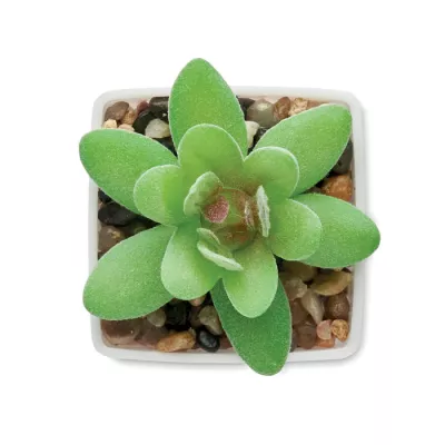 Sztuczna roślina mini graptopetalum z PP ARTIGRAP - Bialy (MO2854-06)
