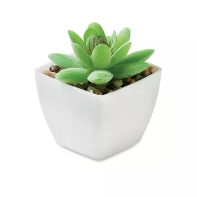 Sztuczna roślina mini graptopetalum z PP ARTIGRAP - Bialy (MO2854-06)